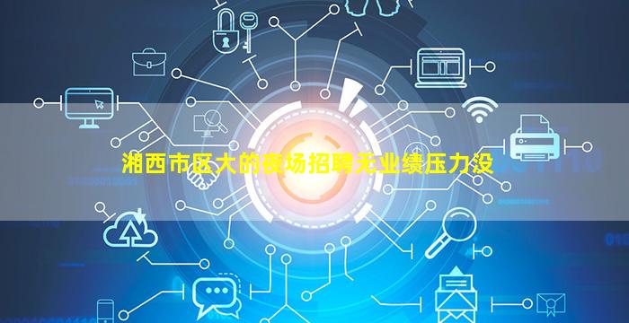 湘西市区大的夜场招聘无业绩压力没
